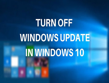 با قابلیت‌ های جدید ویندوز 11 آشنا شوید.